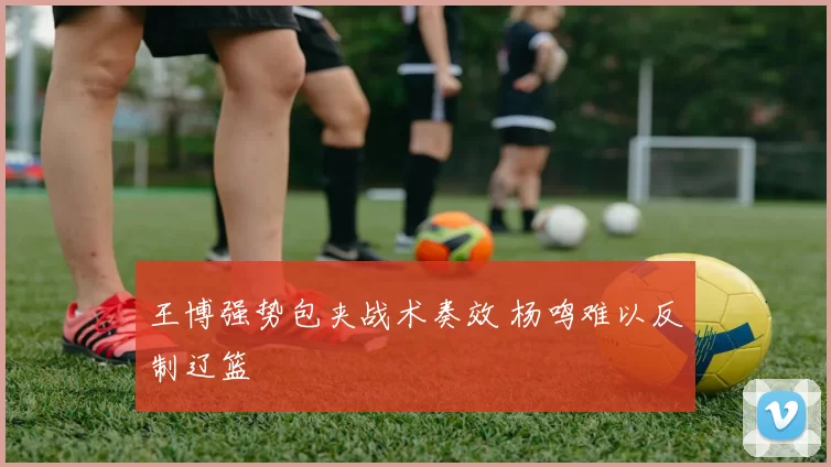 王博强势包夹战术奏效 杨鸣难以反制辽篮