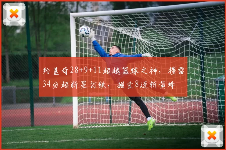 约基奇28+9+11超越篮球之神，穆雷34分超新星打铁，掘金8连斩黄蜂