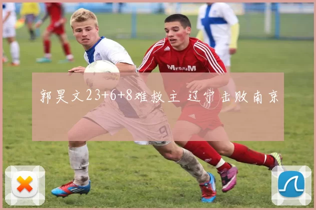 郭昊文23+6+8难救主 辽宁击败南京