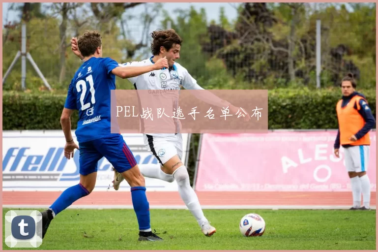 PEL战队选手名单公布